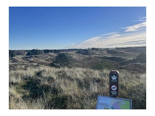 Ferienhaus Havneby Umgebung 36