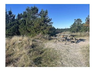 Ferienhaus Havneby Umgebung 35