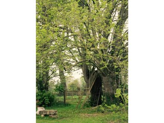 Ferienhaus Beauval-en-Caux Außenaufnahme 18