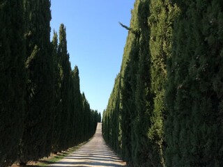 Ferienhaus Auvergne Umgebung 33