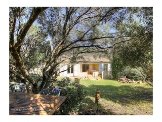 Holiday house Porto Vecchio Environment 16