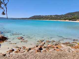 Palombaggia beach 3 kms from our with  free parking