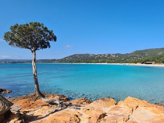 Palombaggia beach 3 kms from our with  free parking