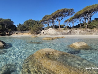 Ferienhaus Porto Vecchio Umgebung 17