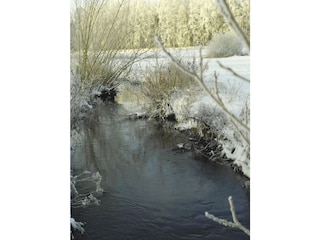 Am wilden Bach im Winter