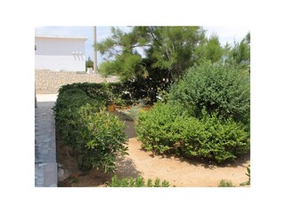 Apartment Pag (Stadt)  11