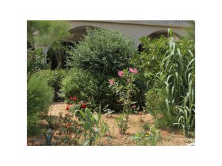 Apartment Pag (Stadt)  12