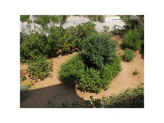 Apartment Pag (Stadt)  13