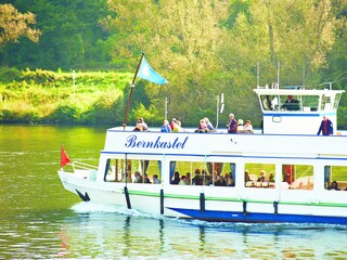 Shipping on the Moselle