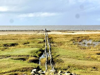 Appartement de vacances St. Peter-Ording Environnement 24