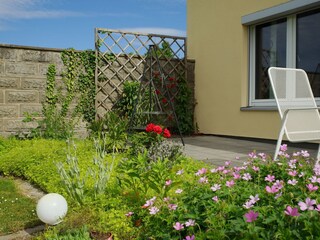 Holiday apartment Dresden-Cotta Outdoor Recording 5