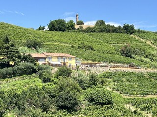 Holiday house Canelli Outdoor Recording 3