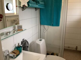 Ferienhaus Falkvik  25