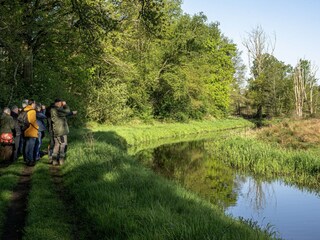 Apartamento Meeuwen Entorno 15