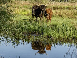 Appartamento Meeuwen Ambiente 15