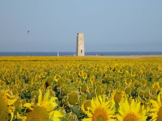 Apartamento El Palmar Entorno 31