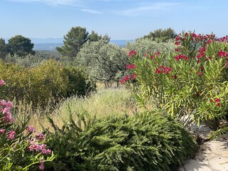 Casa per le vacanze Flayosc Registrazione all'aperto 11