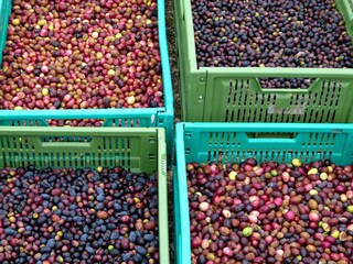 Casa per le vacanze Flayosc Ambiente 29