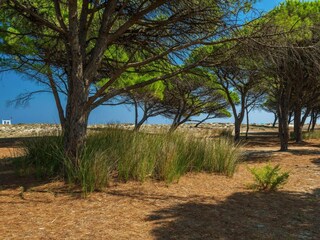 Parque de vacaciones Limpiddu Grabación al aire libre 7