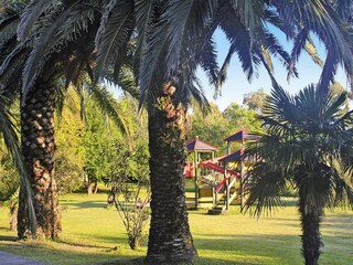 Parque de vacaciones Poggio-Mezzana Entorno 12