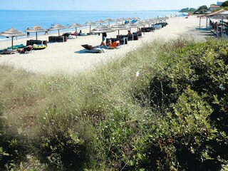 Parc de vacances Poggio-Mezzana Environnement 17