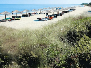 Holiday park Poggio-Mezzana  10