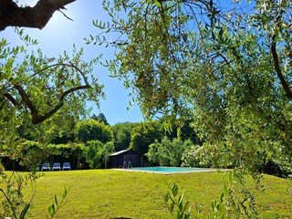 Maison de vacances Capannori Enregistrement extérieur 7