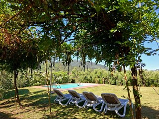 Maison de vacances Capannori Enregistrement extérieur 2