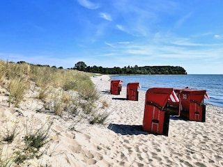 Strand auf Mönchgut