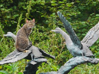 Holiday house Bad Kohlgrub Outdoor Recording 31
