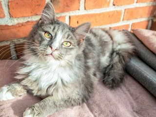 Ferienhaus Højer  20