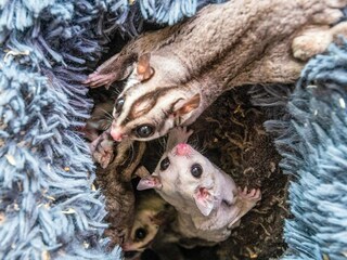 Vakantiehuis Højer  23