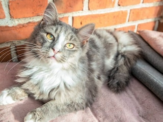 Vakantiehuis Højer  27