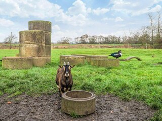 Vakantiehuis Højer  18
