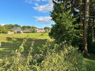 Ferienhaus Hannut Außenaufnahme 7