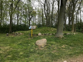 Appartement Schlagsdorf (Fehmarn) Environnement 37