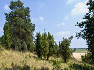 Villa Wiesbaum Ambiente 29