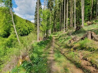 Villa Wiesbaum Ambiente 30