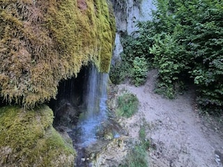 Villa Wiesbaum Ambiente 33