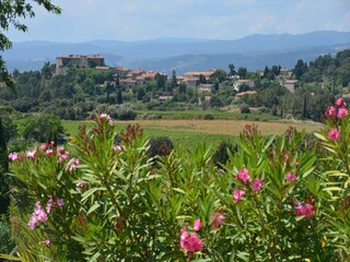 Villa Aigne Ambiente 38