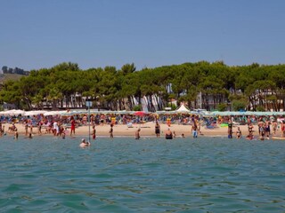 Appartement Alba Adriatica Environnement 35