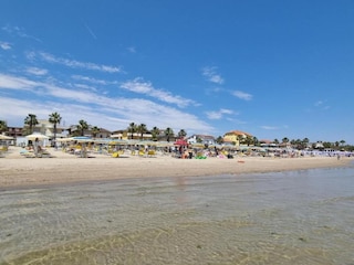 Apartment Alba Adriatica Environment 32