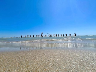 Apartment Alba Adriatica Environment 33