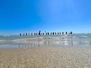 Appartamento Alba Adriatica Ambiente 33