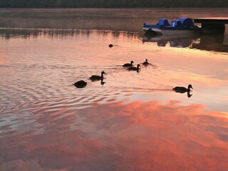 Parque de vacaciones Szemud  23