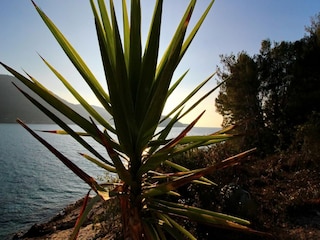Maison de vacances Vela Luka Enregistrement extérieur 1