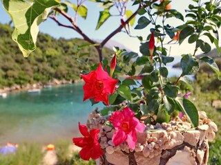 Apartment Korcula (Stadt)  12