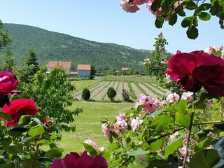Maison de vacances Dicmo Environnement 41