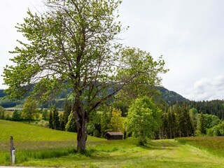 Appartamento Hopfgarten im Brixental Registrazione all'aperto 5
