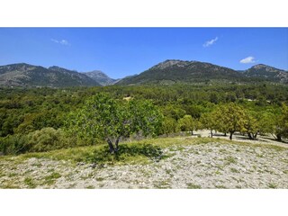 Holiday house Selva Environment 23